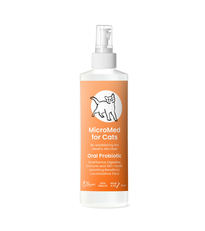 MicroMed for Cats Everyday Care ongoing health supplement in a 500ml bottle, designed for feline wellness and daily support.