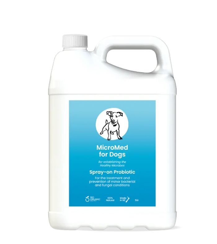 MicroMed for Dogs Acute Care Immediate Care bottle, 250ml, in a clinical setting with medical supplies and packaging.