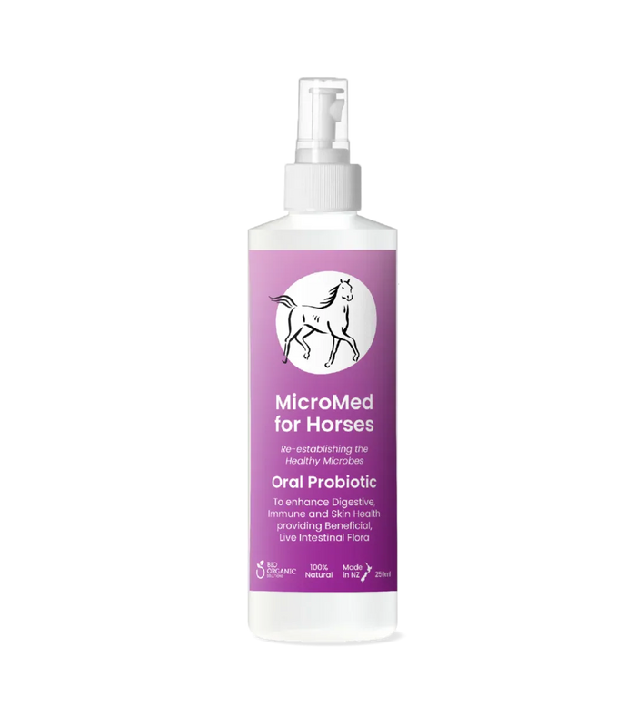 MicroMed for Horses Care Ongoing Care solution bottle, 500ml, designed for daily equine health maintenance and optimal horse well-being.