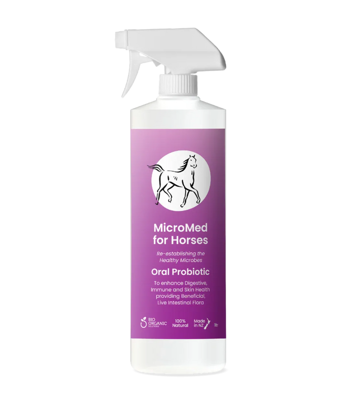 MicroMed for Horses Care 500ml bottle showing the ongoing care solution for maintaining equine health and well-being.