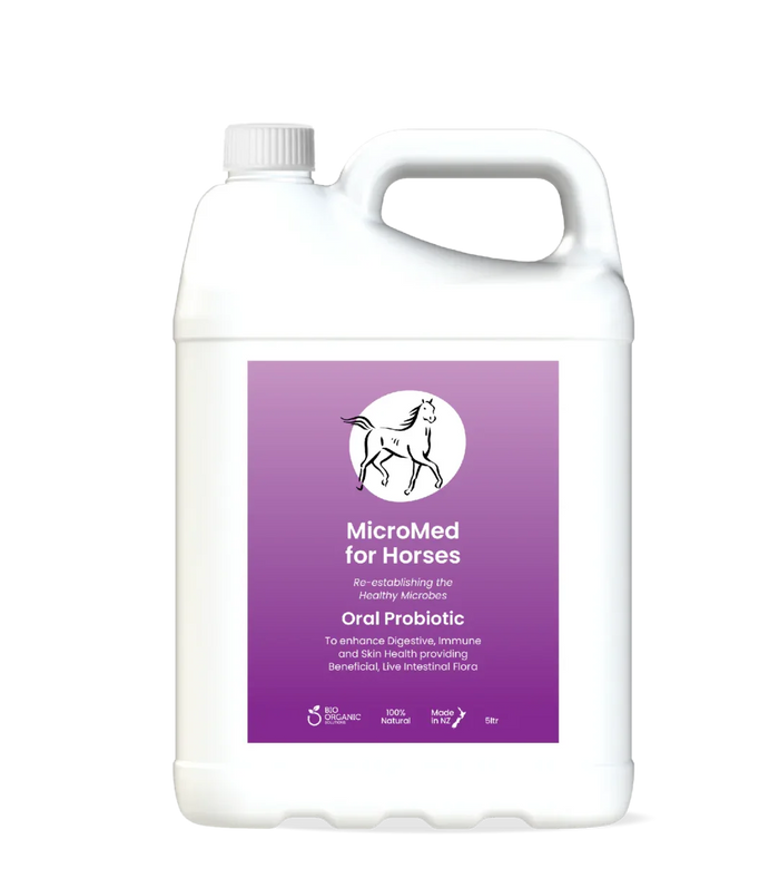 MicroMed for Horses Care 500ml bottle showing the ongoing care solution for maintaining optimal equine health.