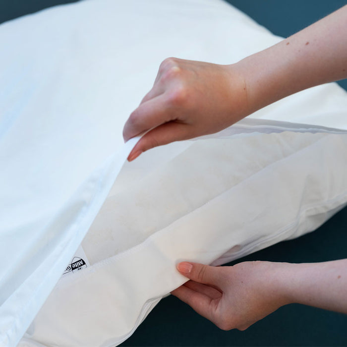 Open MiteGuard pillow cover with large protective zip flap, designed for standard-sized pillows, provides dust mite protection.