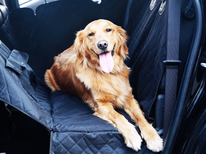 Waterproof pet back seat cover hammock by dealonline.co.nz, non-slip protector mat for car back seats, durable and easy to install