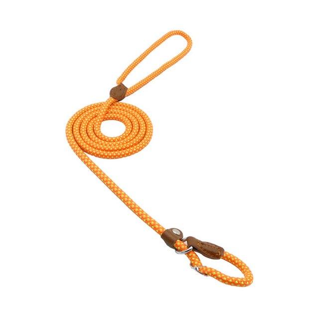 Orange / M