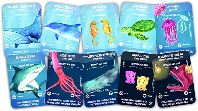 Ten colorful illustrated cards of sea animals with scientific names and habitat facts from an ocean-themed puzzle.