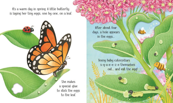 Colorful illustrated pages showing a monarch butterfly, bees, and caterpillars hatching on leaves with pink flowers.