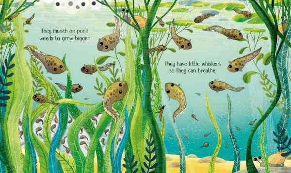 Illustrated book spread of brown tadpoles swimming through tall green and blue pond weeds in blue water.