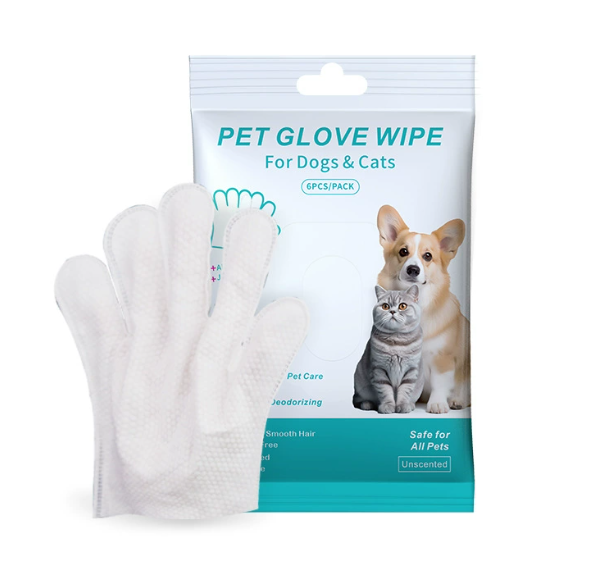 Disposable Gloves / 2pcs