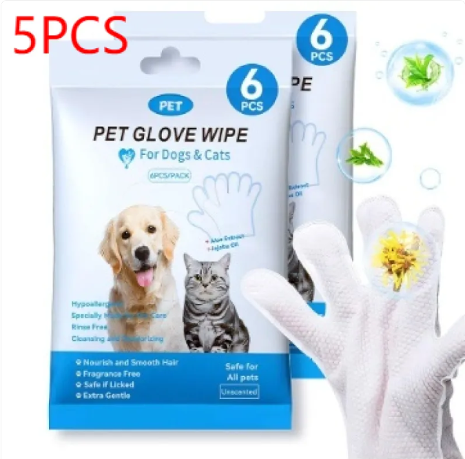Disposable Gloves / 5pcs