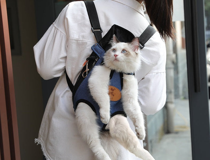 Blue XL pet travel carry bag by dealonline.co.nz, shown with mesh sides and sturdy handles for comfortable puppy transport.