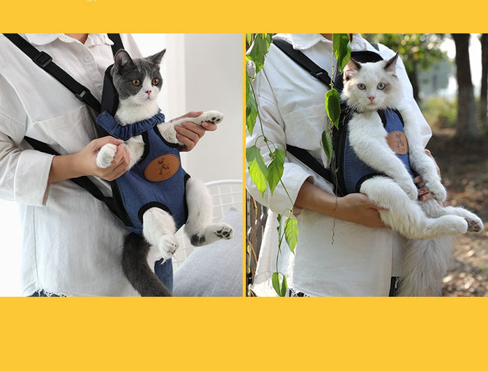 Blue XL pet travel carry bag from dealonlinenz, spacious pet carrier with mesh panels and sturdy handles for comfortable travel.