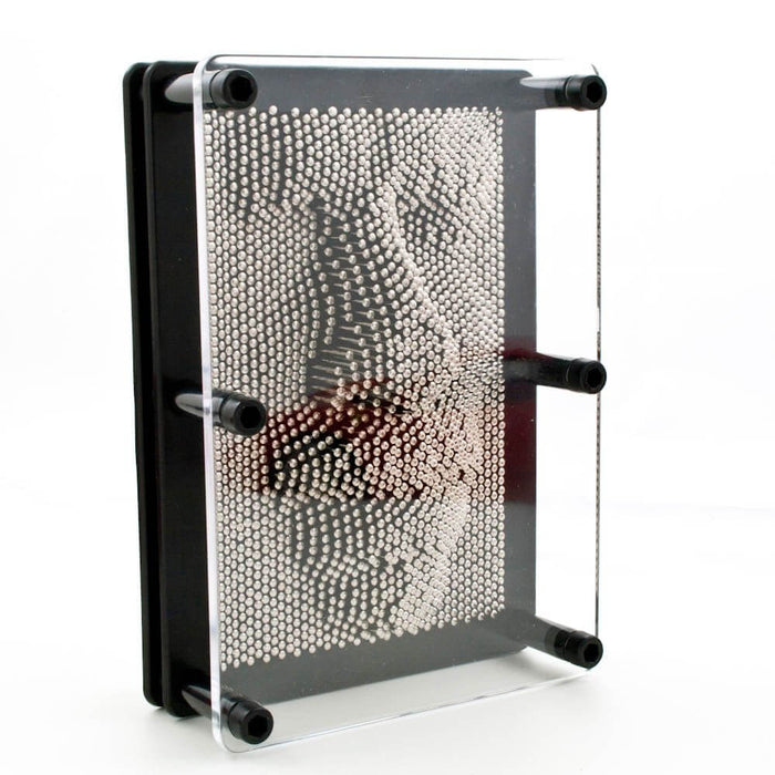 Black rectangular frame with a clear cover and silver pins forming a 3D impression of a human face.