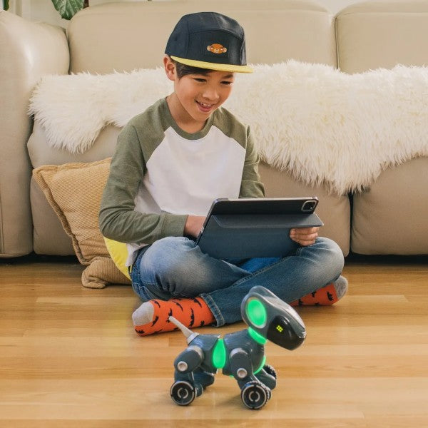 A child uses a tablet to program a grey robotic dog with glowing green lights while sitting on a wooden floor.
