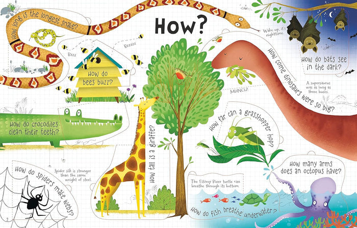 Colorful children's book spread featuring a giraffe, dinosaur, and snake with animal "How" questions and facts.