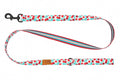 RC Pet Eco Leash for Dogs