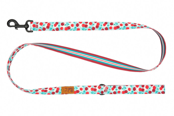 RC Pet Eco Leash for Dogs