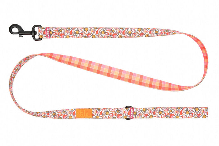 RC Pet Eco Leash for Dogs
