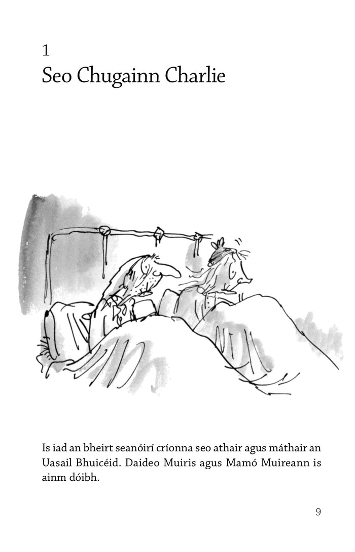 Page from an Irish book featuring a black and white line drawing of two elderly people sitting up in bed.