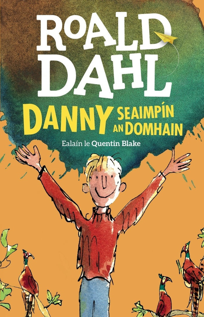 Irish book cover with a boy in a red sweater, pheasants, and a paper airplane on orange and green background.