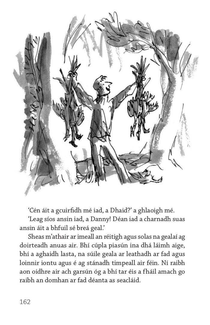 Black and white line drawing of a man holding birds in the woods above a paragraph of Irish text on a book page.