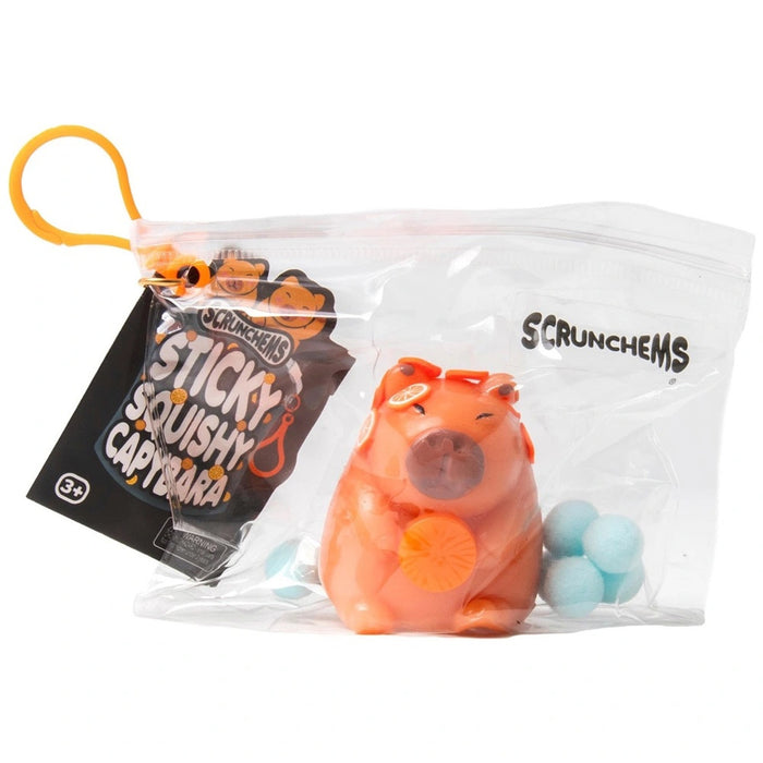 Orange squishy capybara with citrus slice accents in a clear bag with blue pom poms and an orange hanging clip.