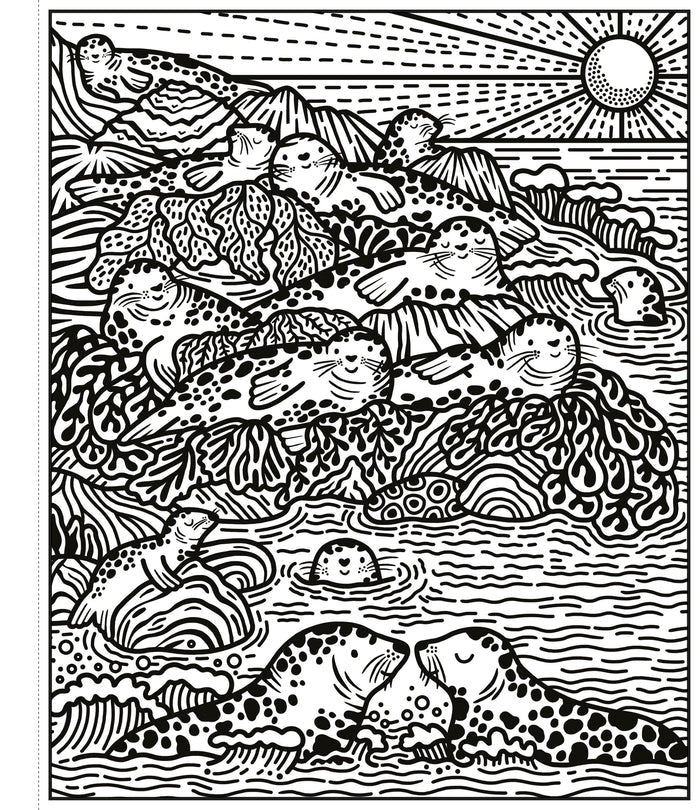 Black and white line art showing multiple spotted seals resting on a rocky shore and swimming under a large sun.