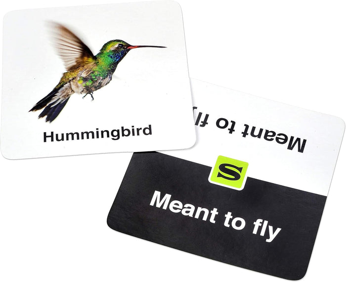 White hummingbird photo card and a black-and-white card reading Meant to fly with a lime green square S logo.