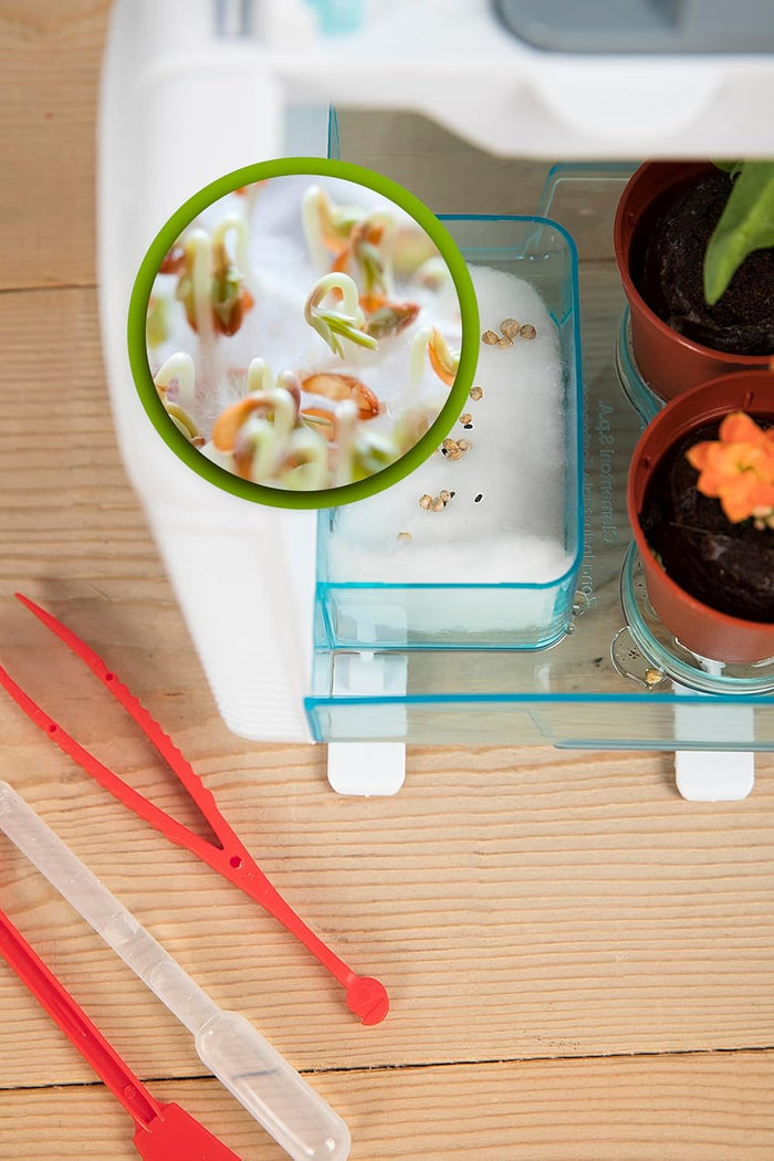 Toy greenhouse with seed sprouts in a tray, small plant pots, red tweezers, and a pipette on a wooden table.