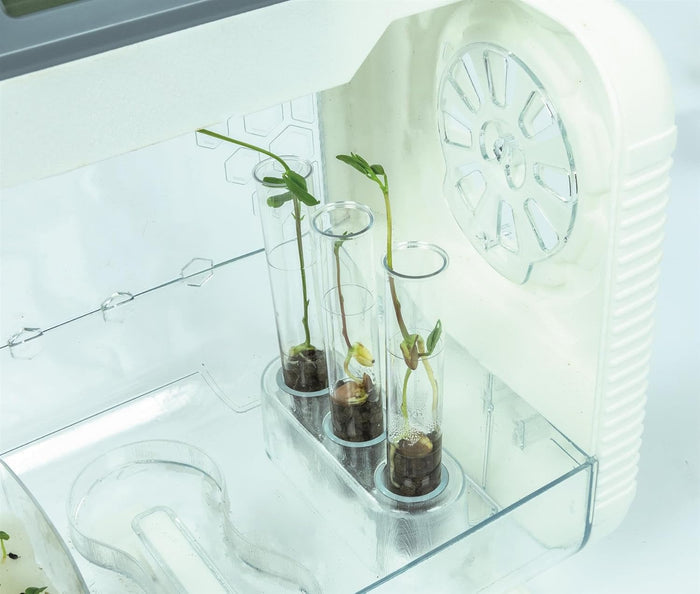 Three green seedlings in clear test tubes inside a white and clear plastic toy greenhouse with a circular vent.