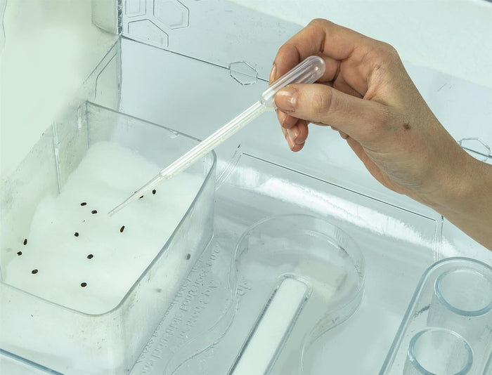 A person uses a plastic dropper to water small black seeds inside a clear greenhouse container.