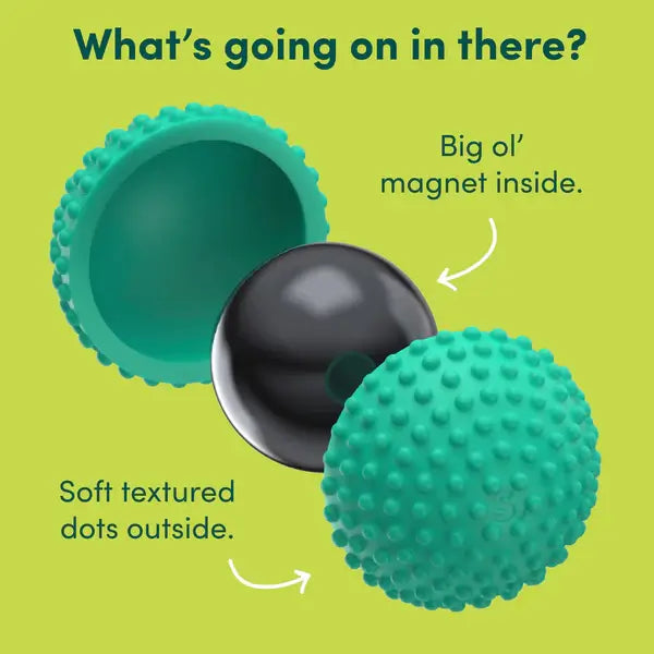 Teal nubby silicone sphere split open to reveal a shiny black magnet ball inside on a lime green background.