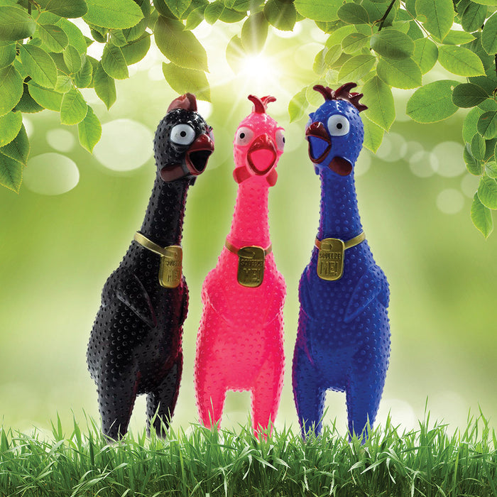 Black, pink, and blue rubber chickens with open mouths stand in grass wearing gold Squeeze Me collars.