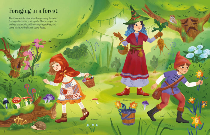 Colorful forest scene with three characters in pointed hats and capes gathering magical mushrooms and plants.