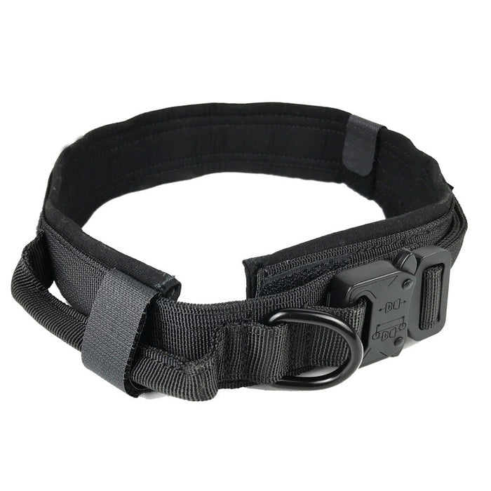 Adjustable military-style nylon dog collar with metal buckle, ideal for training and outdoor use.