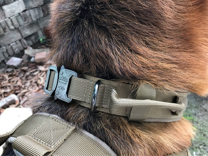 Adjustable military-style nylon dog collar with metal buckle, ideal for training and outdoor activities for dogs.