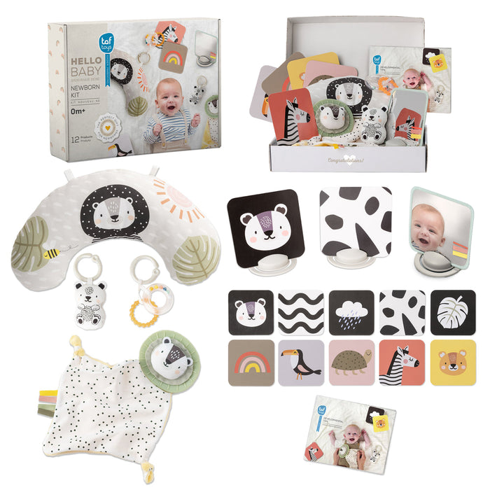 Newborn gift set with a lion tummy time pillow, baby mirror, spotted comforter, and black and white contrast cards.