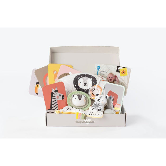 Open gift box with animal-themed flashcards, plush toys, and a mirror in soft pastel and black and white patterns.