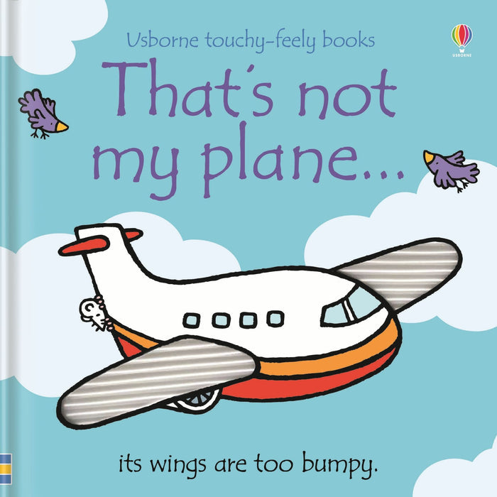Book cover with a cartoon airplane, silver bumpy wings, and a small mouse against a blue sky with white clouds.