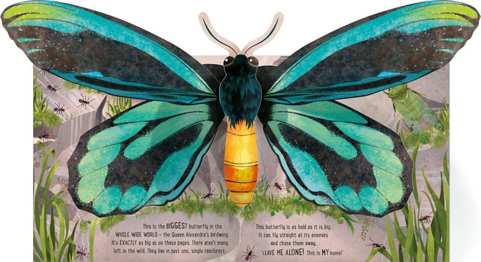 A large, 3D teal and black pop-up butterfly with a yellow abdomen in an open illustrated children's book.