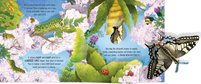 Open pop-up book showing a green caterpillar and a large 3D butterfly emerging from a chrysalis among pink blossoms.