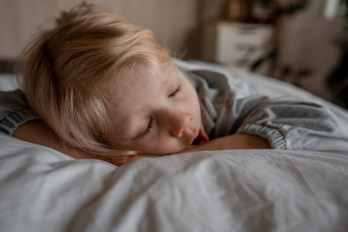 Wisewool™ Cloud Pillow from Do Not Disturb Sleep Company, soft and plush pillow for comfortable sleep.