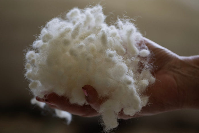 Felted NZ wool cushion inner by Do Not Disturb Sleep Company, showcasing soft, natural wool filling for comfortable cushions.