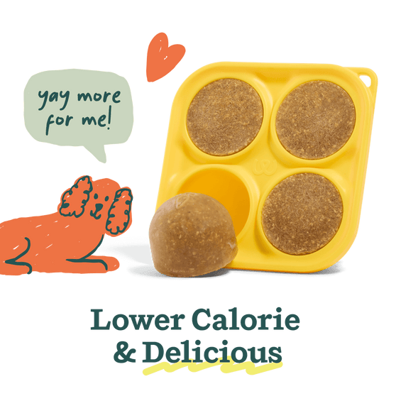 Woof Balanced Belly Pupsicle Mix